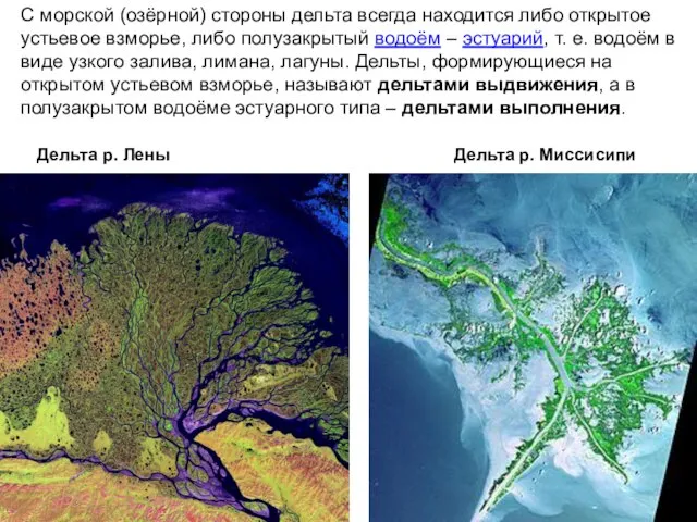 С морской (озёрной) стороны дельта всегда находится либо открытое устьевое взморье,