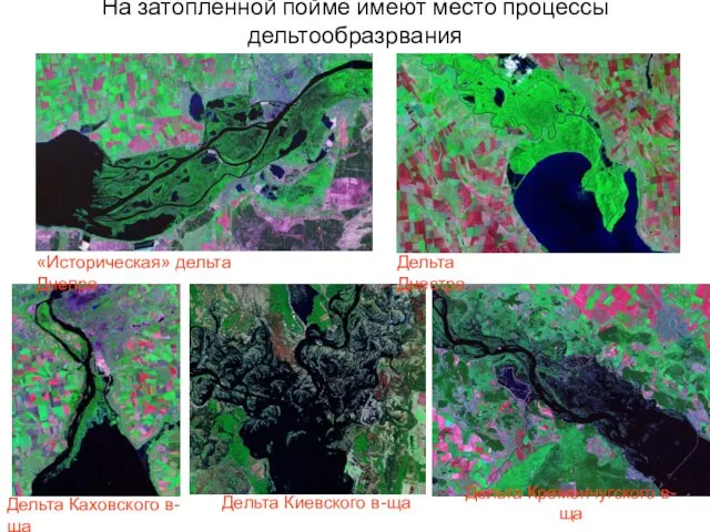 На затопленной пойме имеют место процессы дельтообразрвания Дельта Каховского в-ща «Историческая»