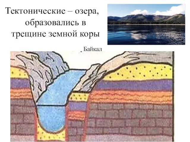 Тектонические – озера, образовались в трещине земной коры Байкал
