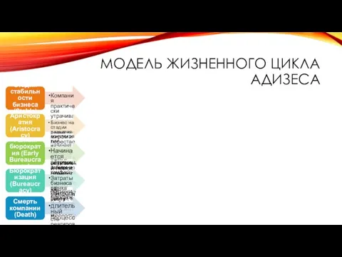 МОДЕЛЬ ЖИЗНЕННОГО ЦИКЛА АДИЗЕСА Стадия стабильности бизнеса (Stable) Компания практически утрачивает