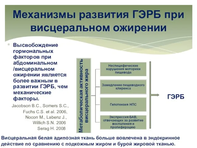 Механизмы развития ГЭРБ при висцеральном ожирении Высвобождение гормональных факторов при абдоминальном