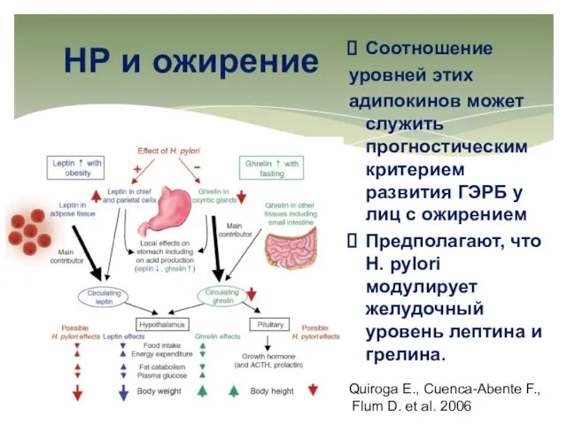 Соотношение уровней этих адипокинов может служить прогностическим критерием развития ГЭРБ у