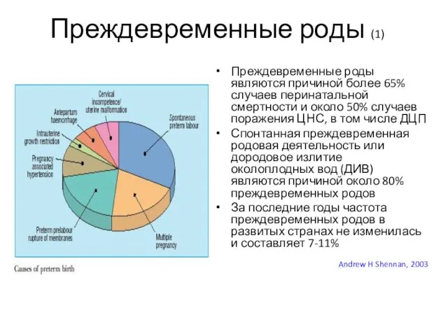 Преждевременные роды (1) Преждевременные роды являются причиной более 65% случаев перинатальной