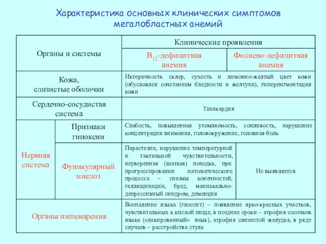 Характеристика основных клинических симптомов мегалобластных анемий