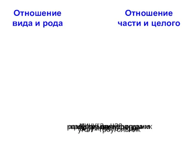 Отношение вида и рода Отношение части и целого ромб - параллелограмм