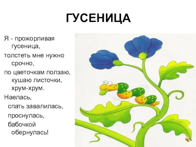 ГУСЕНИЦА Я - прожорливая гусеница, толстеть мне нужно срочно, по цветочкам