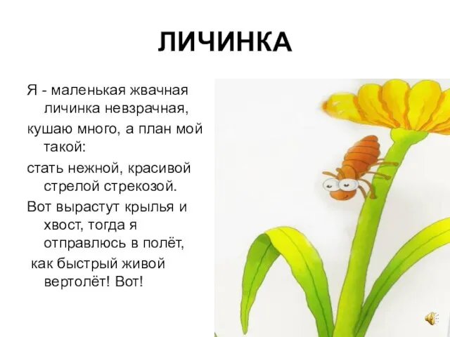 ЛИЧИНКА Я - маленькая жвачная личинка невзрачная, кушаю много, а план