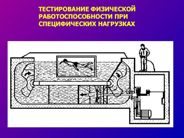 ТЕСТИРОВАНИЕ ФИЗИЧЕСКОЙ РАБОТОСПОСОБНОСТИ ПРИ СПЕЦИФИЧЕСКИХ НАГРУЗКАХ