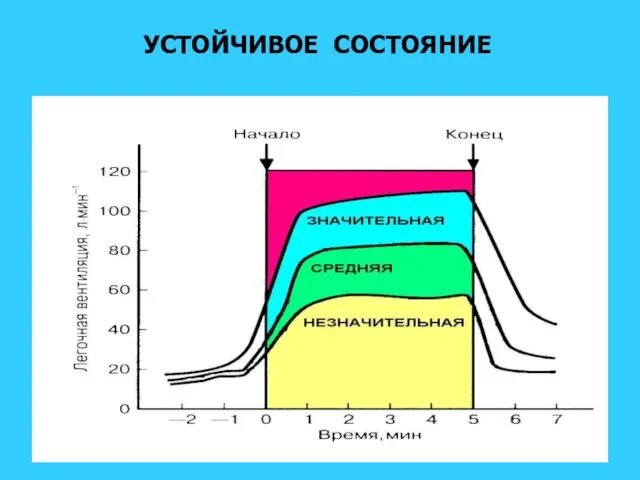 УСТОЙЧИВОЕ СОСТОЯНИЕ