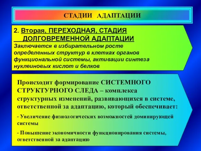 СТАДИИ АДАПТАЦИИ 2. Вторая, ПЕРЕХОДНАЯ, СТАДИЯ ДОЛГОВРЕМЕННОЙ АДАПТАЦИИ Заключается в избирательном