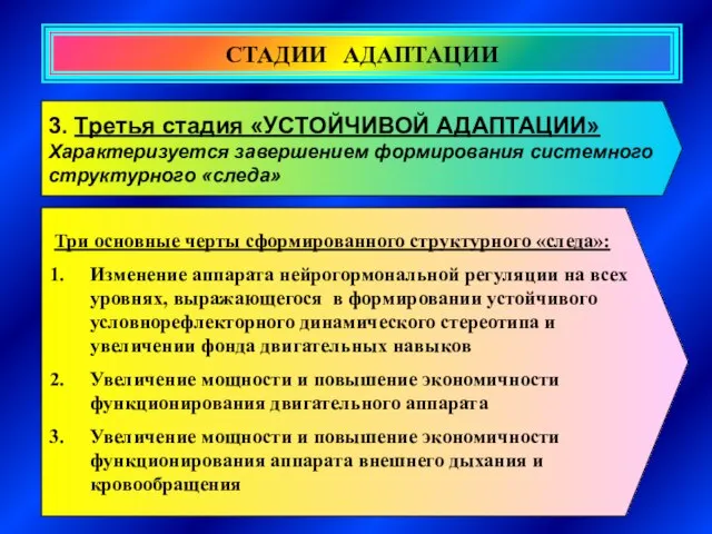 СТАДИИ АДАПТАЦИИ 3. Третья стадия «УСТОЙЧИВОЙ АДАПТАЦИИ» Характеризуется завершением формирования системного