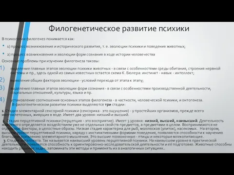 Филогенетическое развитие психики В психологии филогенез понимается как: 1) процесс возникновения