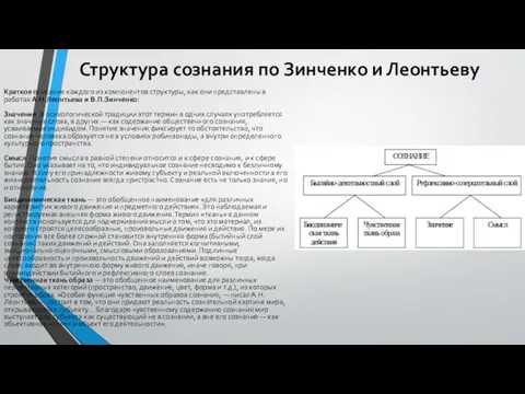 Структура сознания по Зинченко и Леонтьеву Краткое описание каждого из компонентов