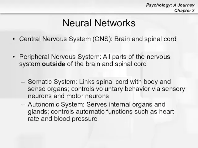 Neural Networks Central Nervous System (CNS): Brain and spinal cord Peripheral