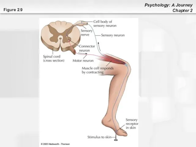 Figure 2.9