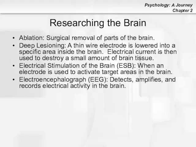 Researching the Brain Ablation: Surgical removal of parts of the brain.