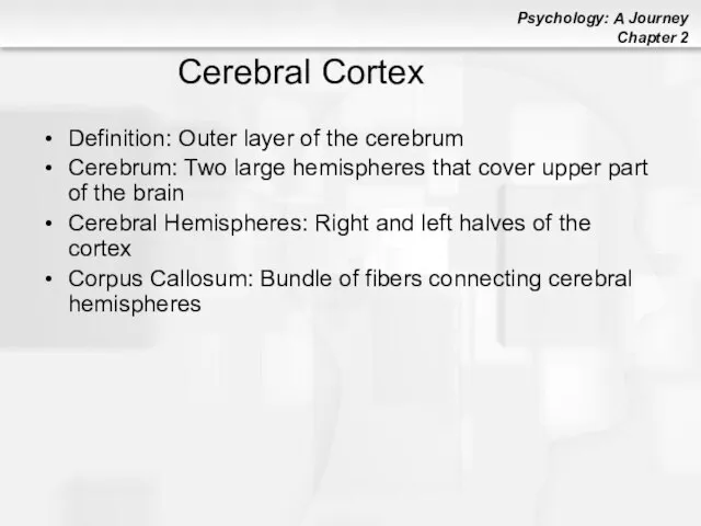 Definition: Outer layer of the cerebrum Cerebrum: Two large hemispheres that