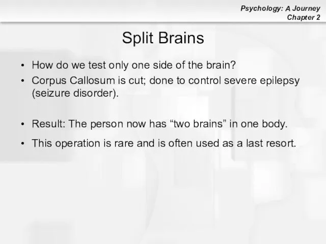 Split Brains How do we test only one side of the