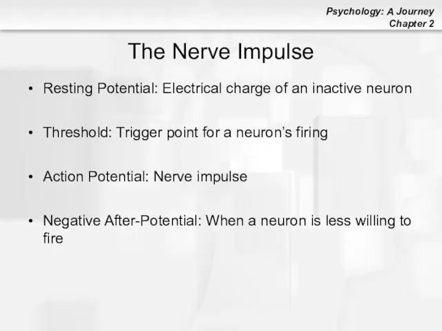 The Nerve Impulse Resting Potential: Electrical charge of an inactive neuron