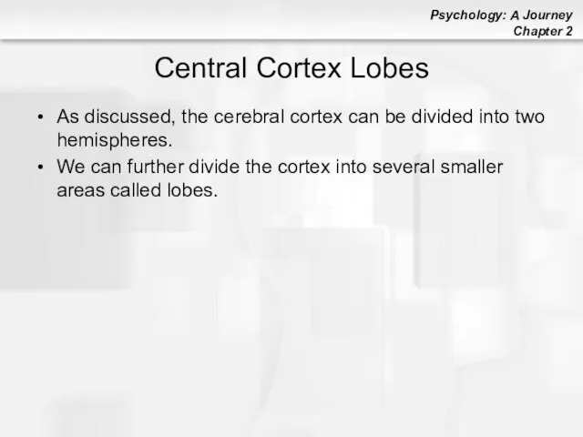 Central Cortex Lobes As discussed, the cerebral cortex can be divided