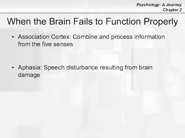 When the Brain Fails to Function Properly Association Cortex: Combine and