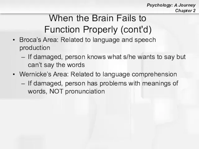 When the Brain Fails to Function Properly (cont'd) Broca’s Area: Related