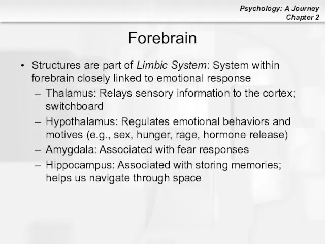Forebrain Structures are part of Limbic System: System within forebrain closely