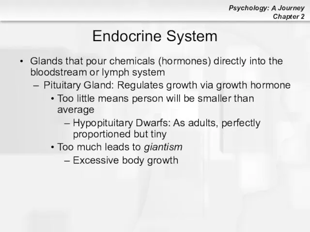 Endocrine System Glands that pour chemicals (hormones) directly into the bloodstream