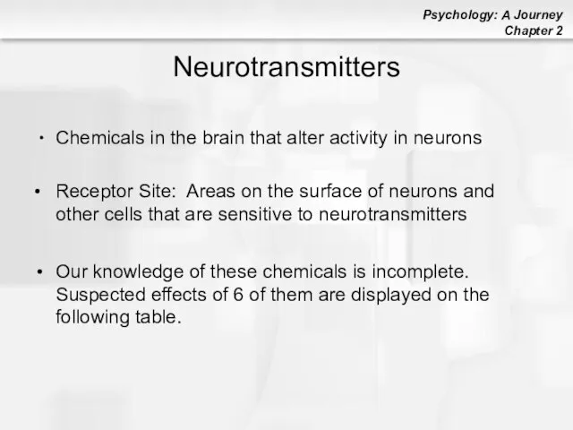 Neurotransmitters Chemicals in the brain that alter activity in neurons •