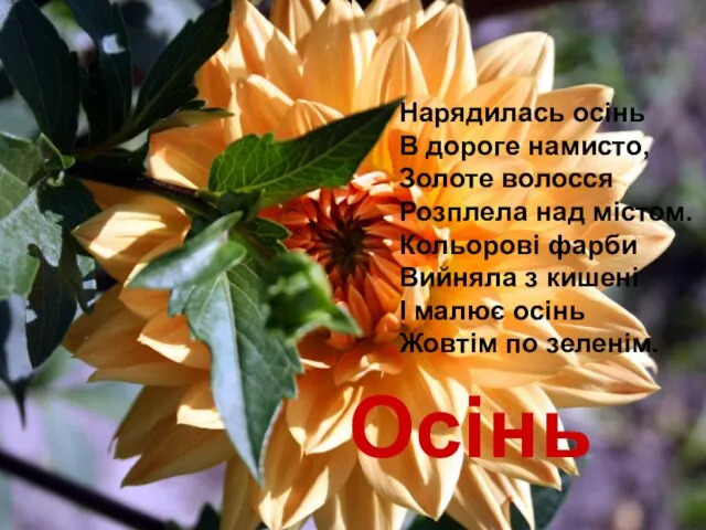 Осінь Нарядилась осінь В дороге намисто, Золоте волосся Розплела над містом.