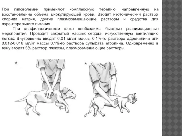 При гиповолемии применяют комплексную терапию, направленную на восстановление объема циркулирующей крови.