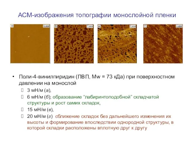 АСМ-изображения топографии монослойной пленки Поли-4-винилпиридин (ПВП, Mw = 73 кДа) при