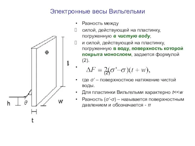 Электронные весы Вильгельми Разность между силой, действующей на пластинку, погруженную в