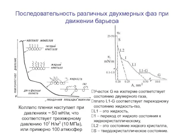 Последовательность различных двухмерных фаз при движении барьера Коллапс пленки наступает при