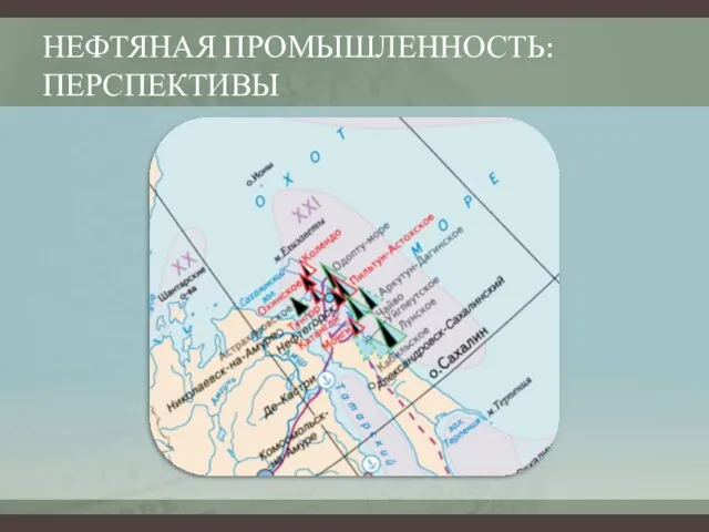 НЕФТЯНАЯ ПРОМЫШЛЕННОСТЬ: ПЕРСПЕКТИВЫ