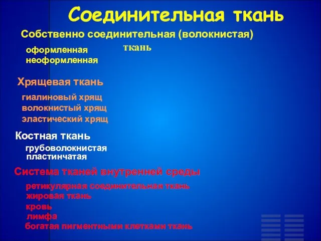 Собственно соединительная (волокнистая) ткань оформленная неоформленная Хрящевая ткань эластический хрящ волокнистый