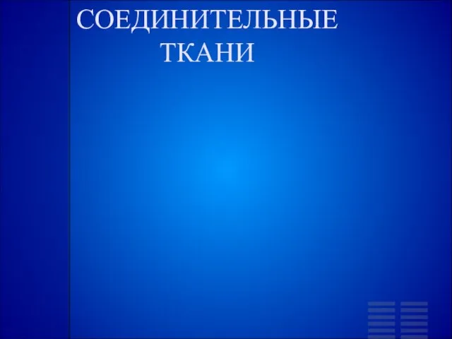 СОЕДИНИТЕЛЬНЫЕ ТКАНИ