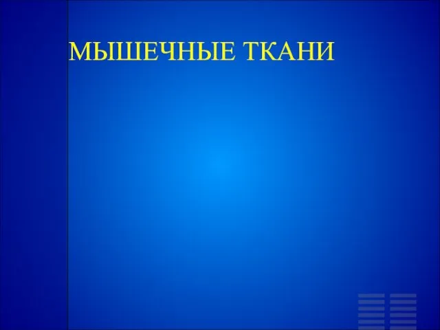 МЫШЕЧНЫЕ ТКАНИ