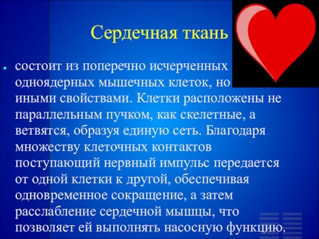 Сердечная ткань состоит из поперечно исчерченных одноядерных мышечных клеток, но обладает