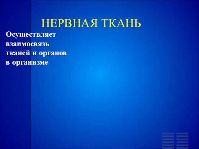 НЕРВНАЯ ТКАНЬ Осуществляет взаимосвязь тканей и органов в организме