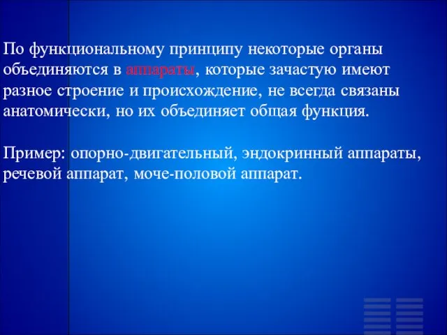 По функциональному принципу некоторые органы объединяются в аппараты, которые зачастую имеют