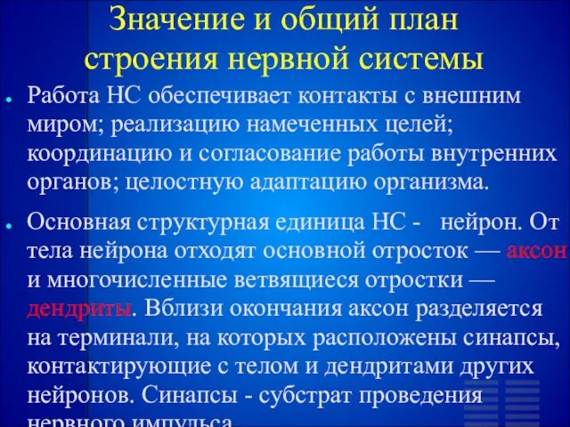 Значение и общий план строения нервной системы Работа НС обеспечивает контакты