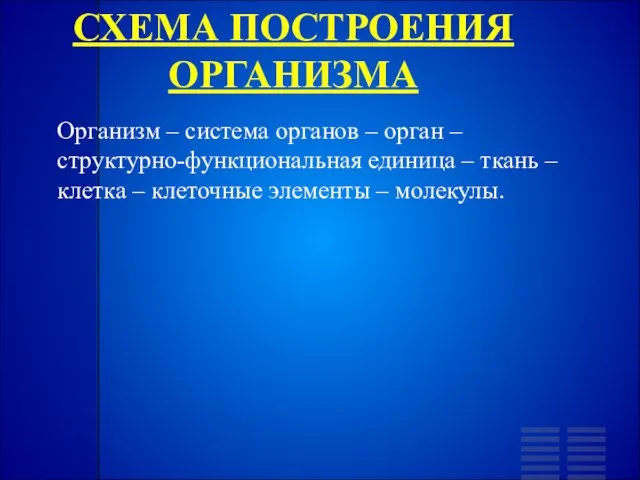 СХЕМА ПОСТРОЕНИЯ ОРГАНИЗМА Организм – система органов – орган – структурно-функциональная