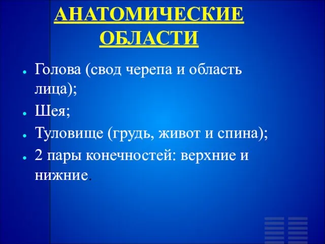 АНАТОМИЧЕСКИЕ ОБЛАСТИ Голова (свод черепа и область лица); Шея; Туловище (грудь,