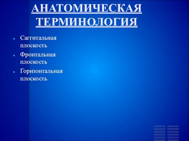 АНАТОМИЧЕСКАЯ ТЕРМИНОЛОГИЯ Саггитальная плоскость Фронтальная плоскость Горизонтальная плоскость