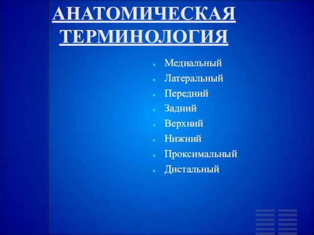 АНАТОМИЧЕСКАЯ ТЕРМИНОЛОГИЯ Медиальный Латеральный Передний Задний Верхний Нижний Проксимальный Дистальный