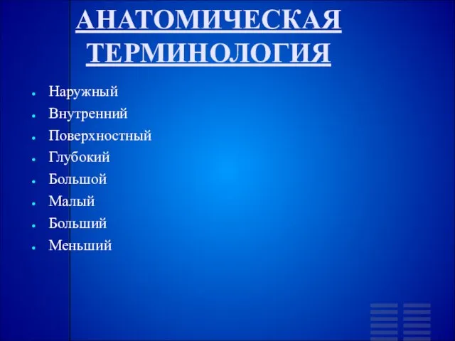 АНАТОМИЧЕСКАЯ ТЕРМИНОЛОГИЯ Наружный Внутренний Поверхностный Глубокий Большой Малый Больший Меньший