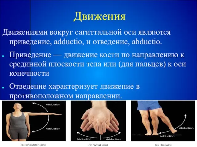 Движения Движениями вокруг сагиттальной оси являются приведение, adductio, и отведение, abductio.