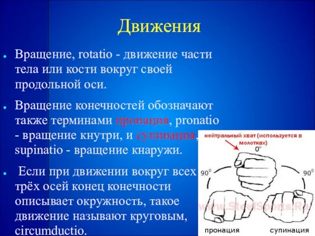 Движения Вращение, rotatio - движение части тела или кости вокруг своей