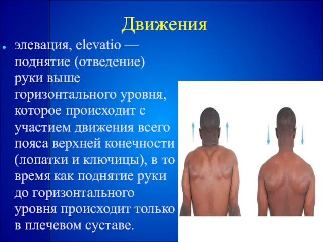 Движения элевация, elevatio — поднятие (отведение) руки выше горизонтального уровня, которое